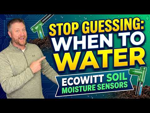 Real-Time Plant Monitoring: Is It Worth It? Ecowitt Soil Sensors